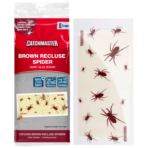 files/1x1_Best-Spider-Traps_Brown-Recluse-Spider-Glue-Traps_17cd2f07-dcd1-4ad5-b37a-cd743a15acea.png