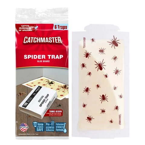 files/1x1_Best-Spider-Traps_Spider-Patterned-Glue-Traps.png