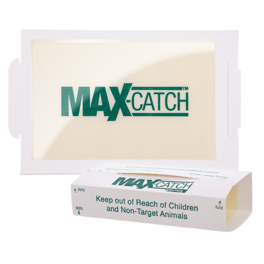 Max Catch Glue Board Traps - Unscented
