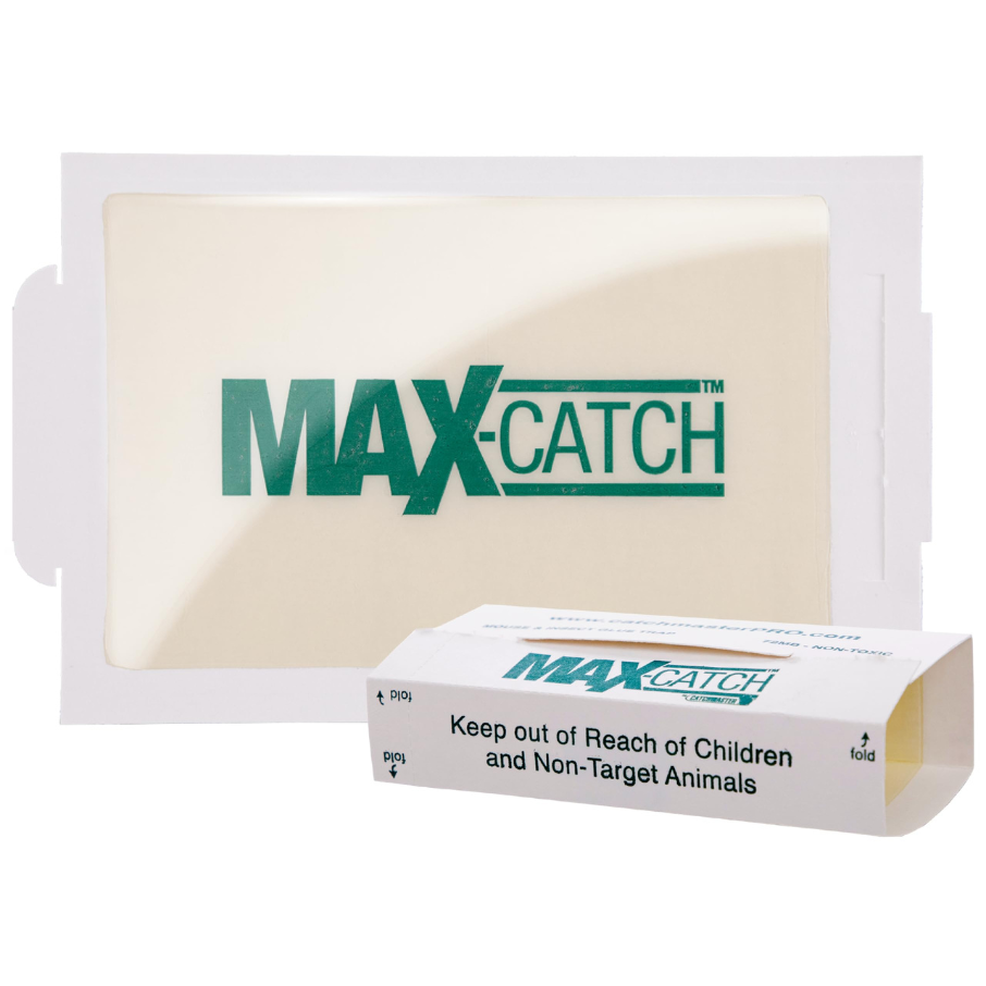 Catchmaster Max-Catch Mouse & Insect Glue Traps - 432 Count