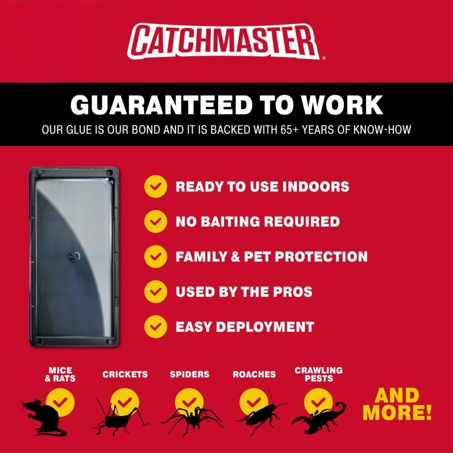 Rat, Mouse & Insect Glue Traps
