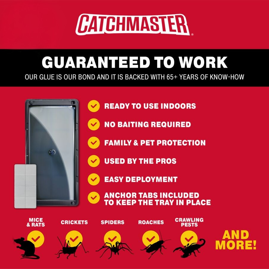Heavy-Duty Rat, Mouse & Insect Glue Traps