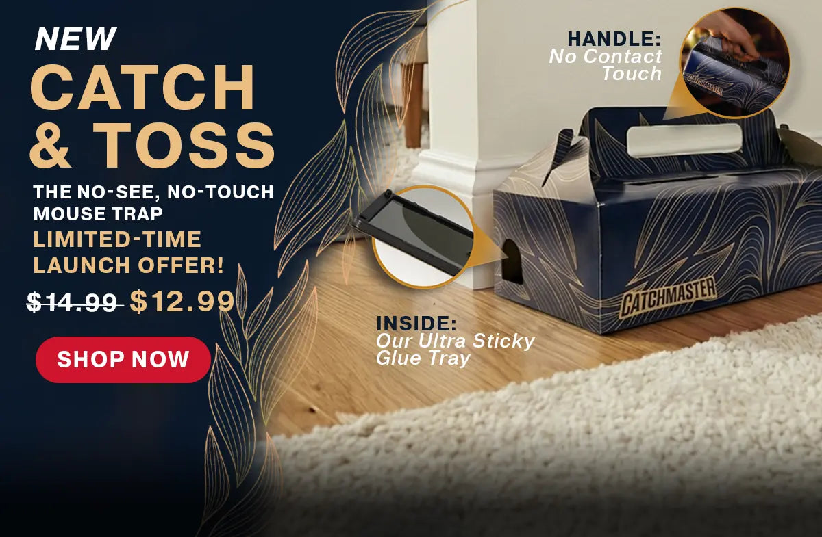 DISCOVER CATCH & TOSS