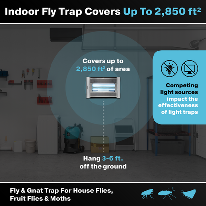 Vector Plasma Screened UV Fly Light Trap