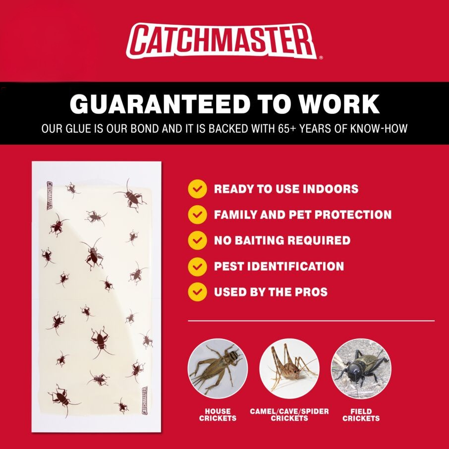 Cricket XL Giant Glue Board Traps