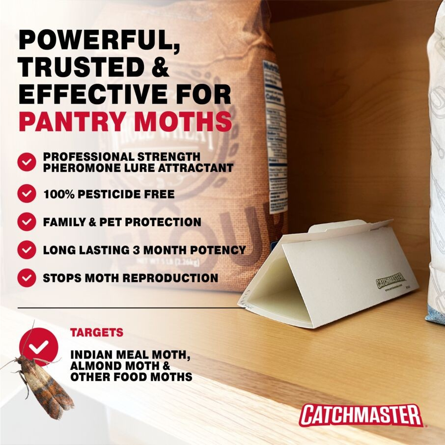 Pantry Pest & Moth Pheromone Infused Glue Board Traps