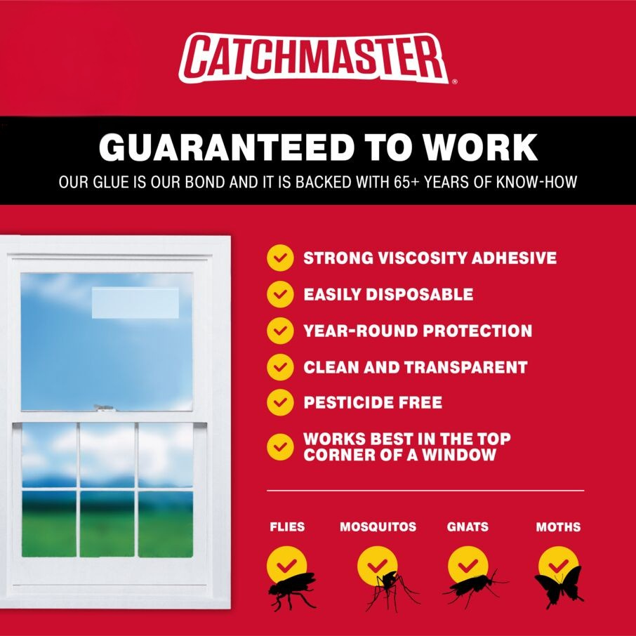 Bug & Fly Clear Window Traps - Thumbnail 4