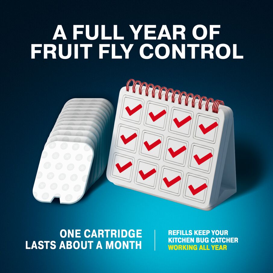 Catchmaster Fruit Fly Trap Refills, Plug-In Glue Cartridges, 12-Pack