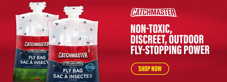 Explore Catchmaster's Premium Indoor & Outdoor Fly Traps