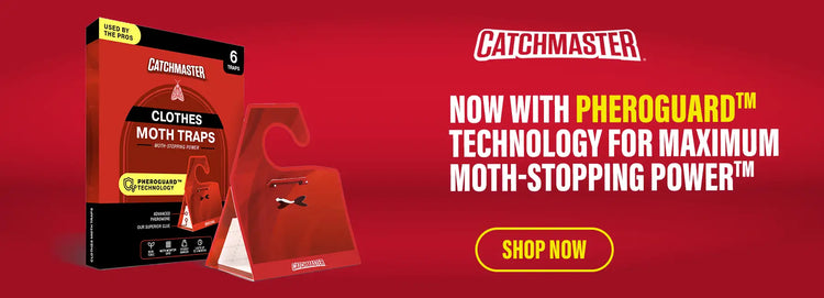 Moth Traps