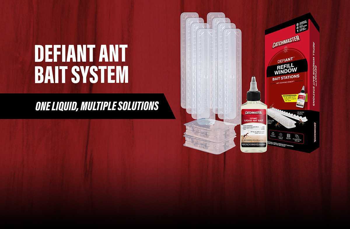 DISCOVER OUR NEW LAUNCHES