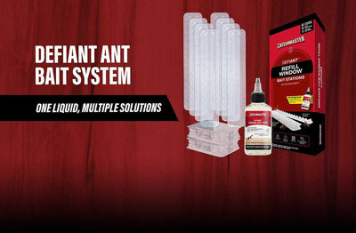 DISCOVER OUR NEW LAUNCHES