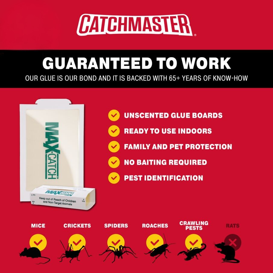 Max-Catch Unscented Glue Board Traps