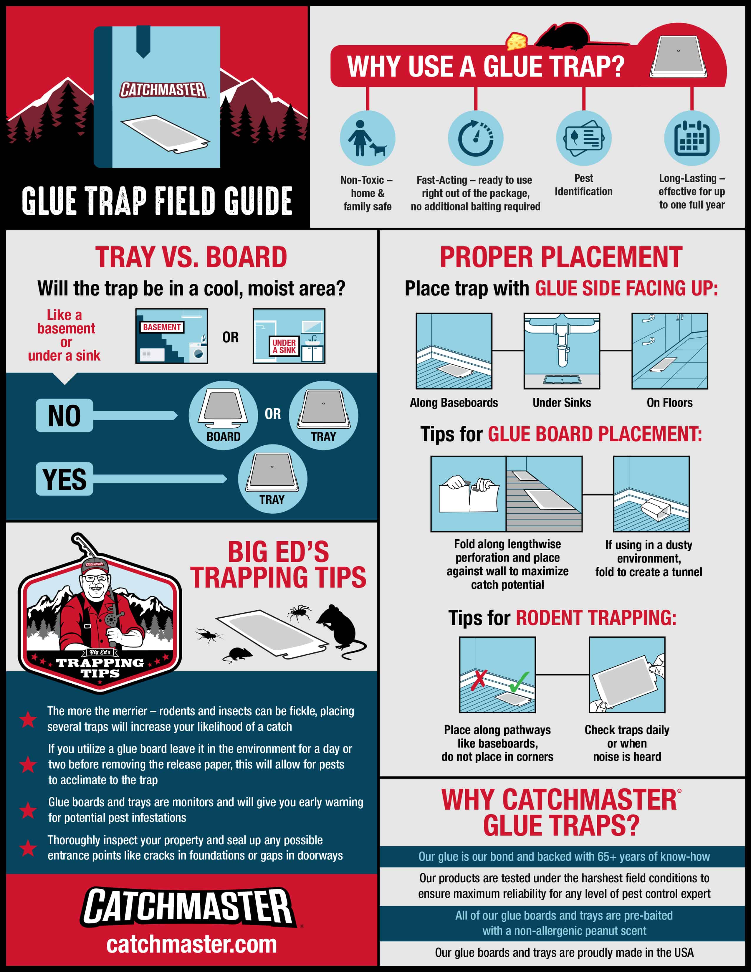 Glue Board Vs. Glue Tray