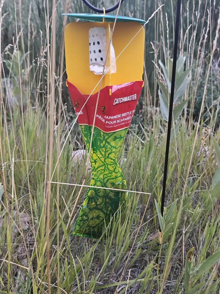 Additional customer proof image