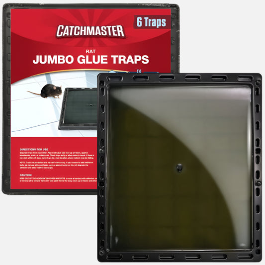 Jumbo Glue Traps for Large Rodents and Other Pests