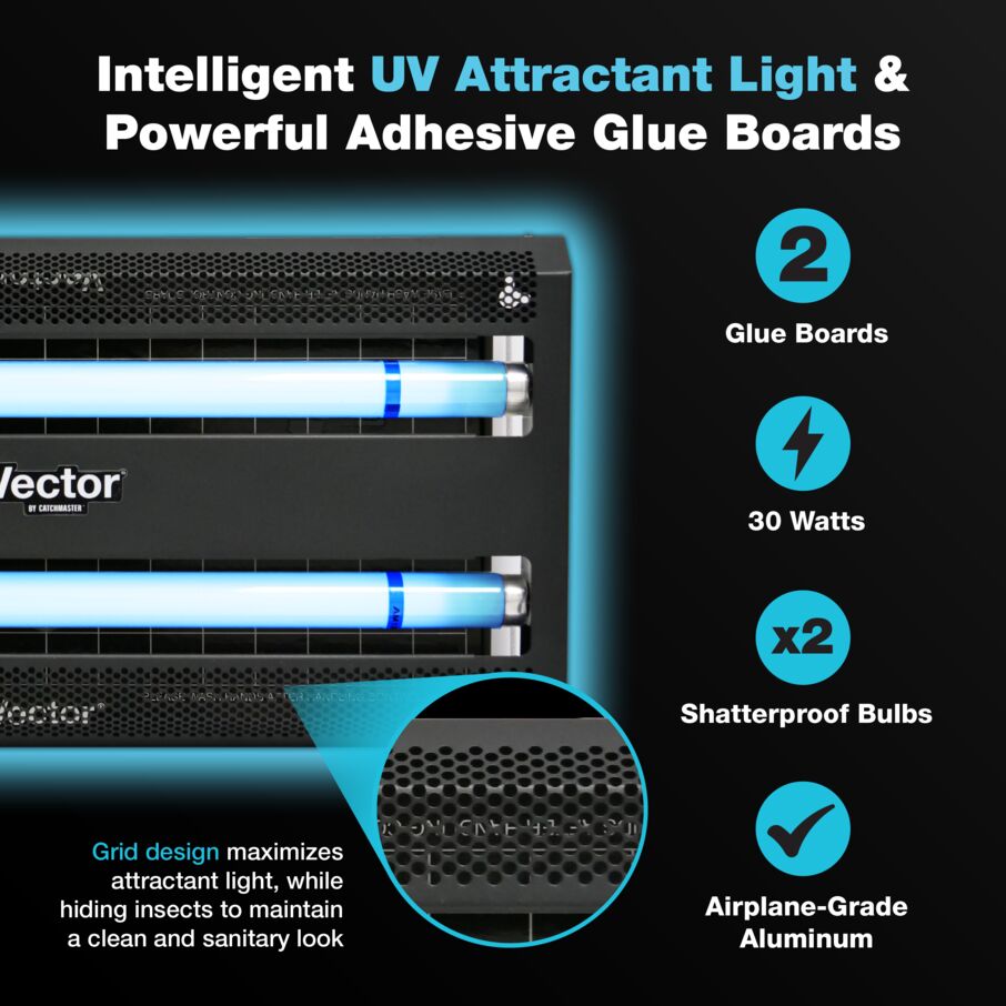 Vector 30 UV Light Fly Trap in Black