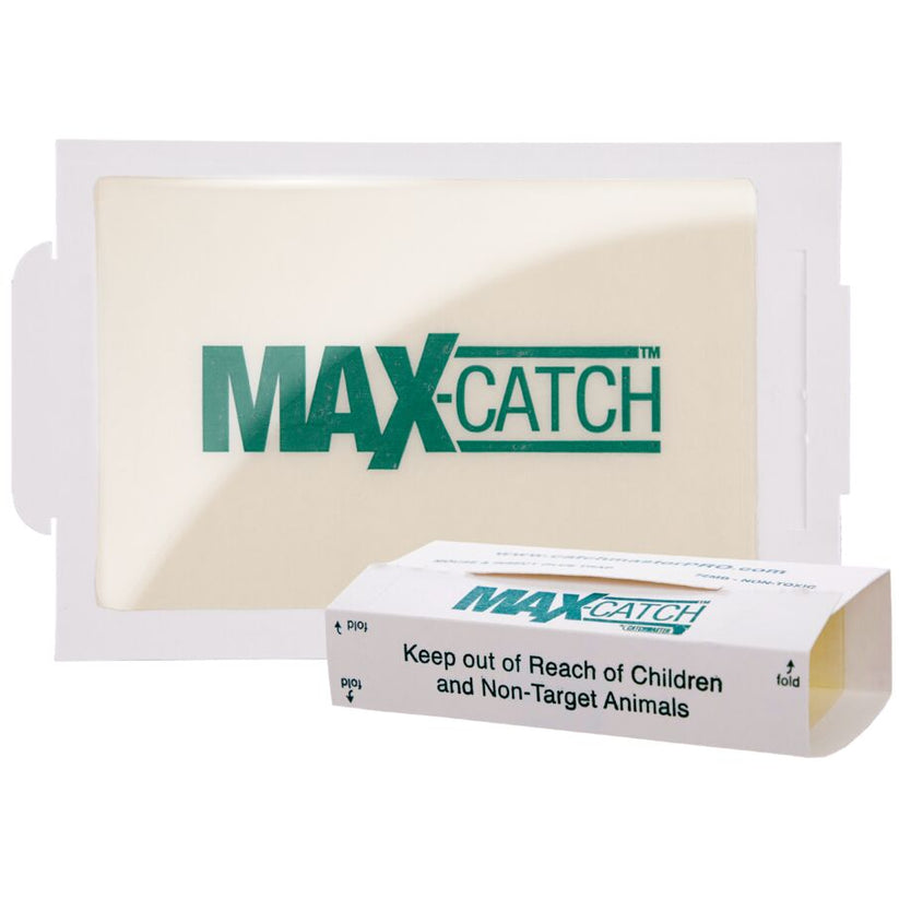 Max-Catch Unscented Glue Board Traps