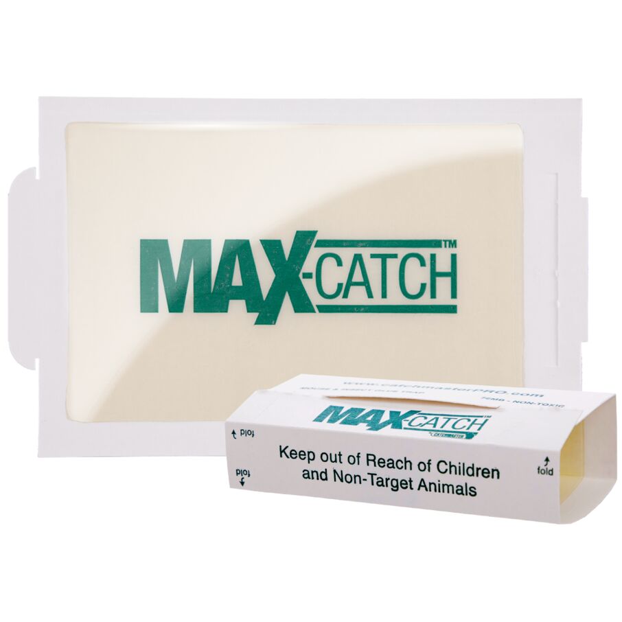 Max-Catch Non-Toxic Scented Glue Traps