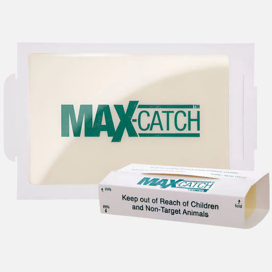 MAX-CATCH trap, white adhesive sheet with box