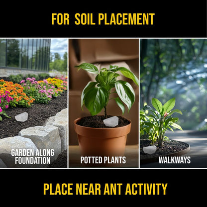 DEFIANT Outdoor Reusable Garden Stakes Ant Traps - 5 Pack