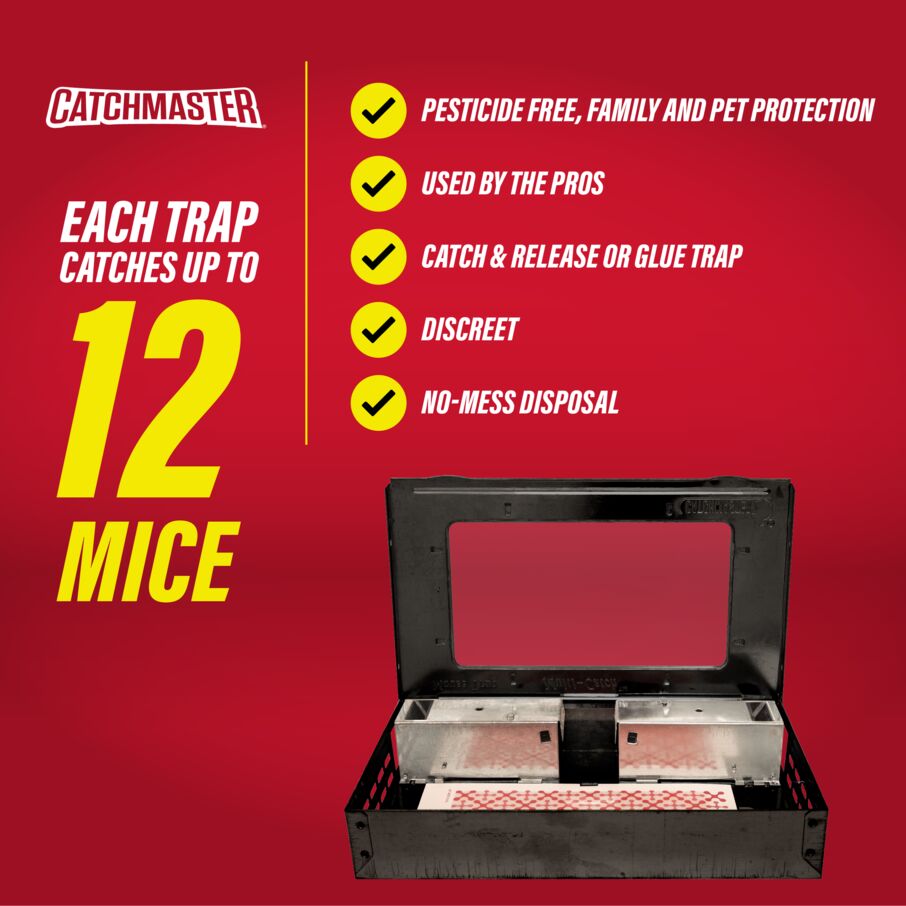 Pro Series Multi-Catch Mouse Trap Includes Replaceable Glue Board (Black)