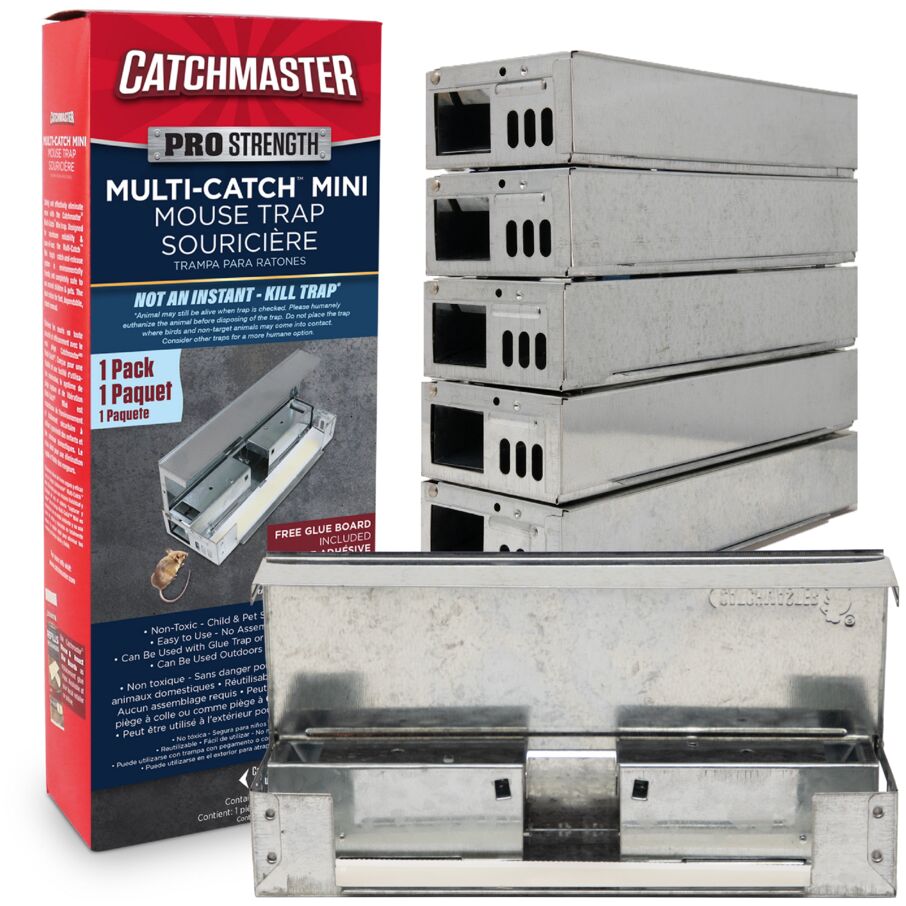 Pro Series Multi-Catch Mini Mouse Trap