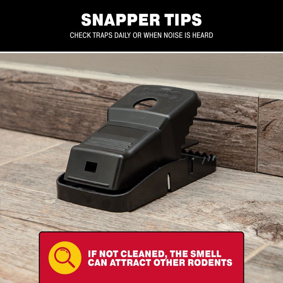 Jumbo Snapper Rodent Snap Trap