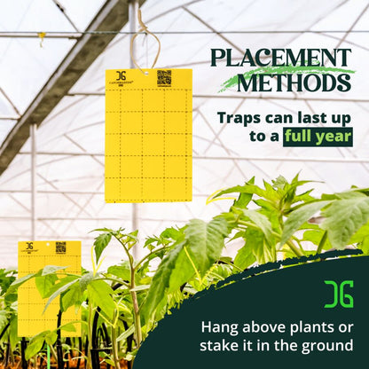 Yellow Sticky Trap for Garden and Plant Pest Control