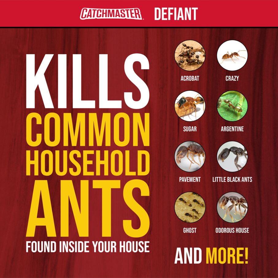 Catchmaster Defiant Refill Window Bait Stations – 8 Pack (4 Stacked)