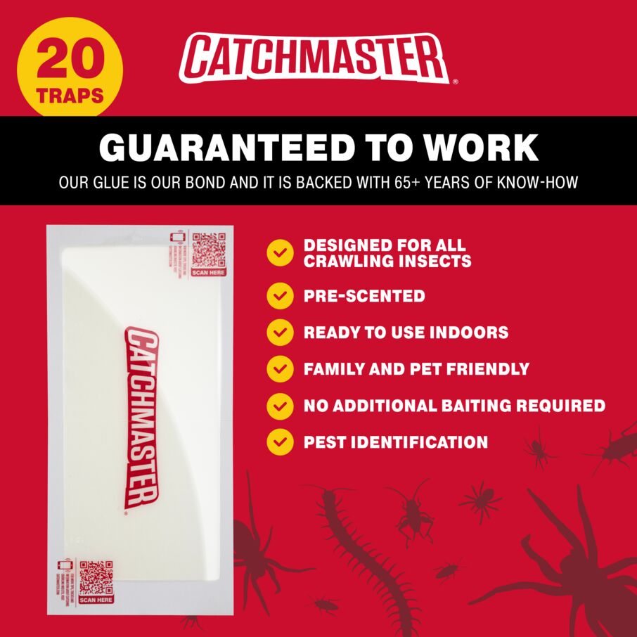 XL Giant Centipede, Cockroach & Cricket Insect Glue Traps