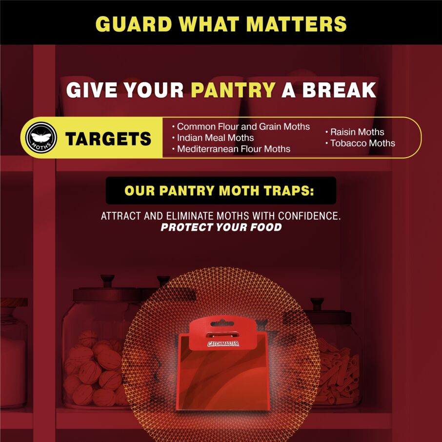 Pantry Moth Traps With Pheromone Attractants
