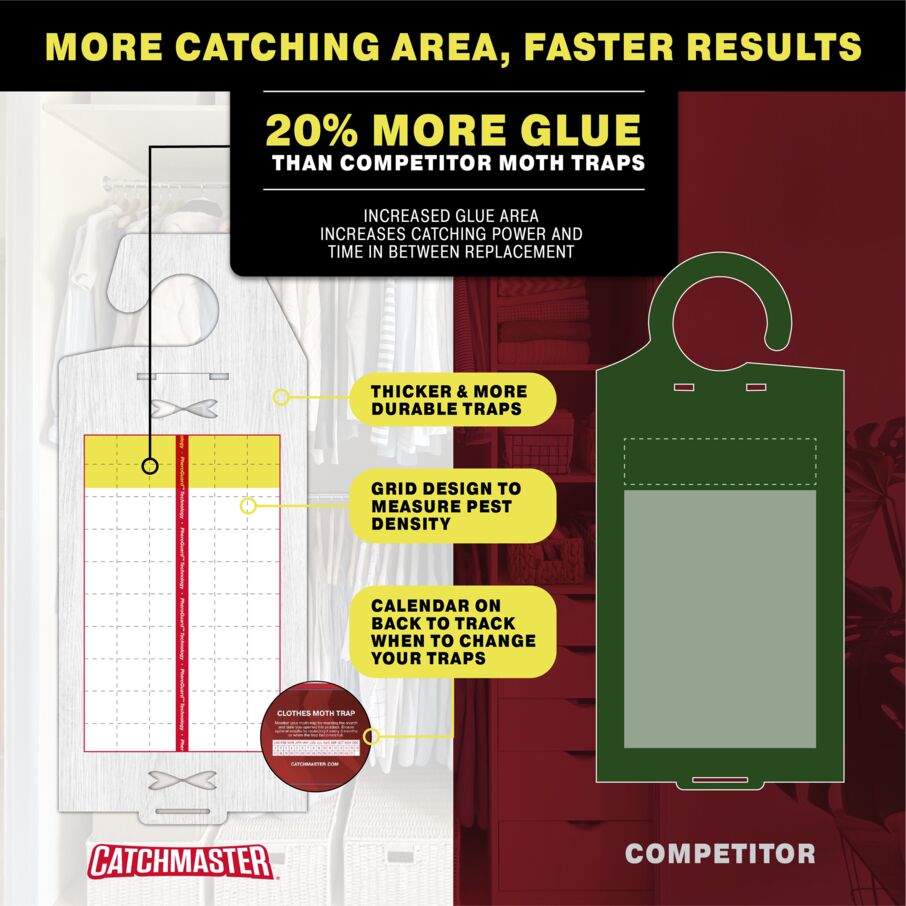 Premium Clothes Moth Traps with Patented Pheromones XL – Hardwood