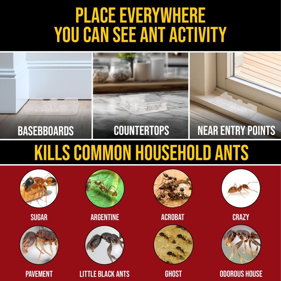 DEFIANT™ Premium Liquid Ant Control, 1-Year Supply + 8 Classic Bait Stations