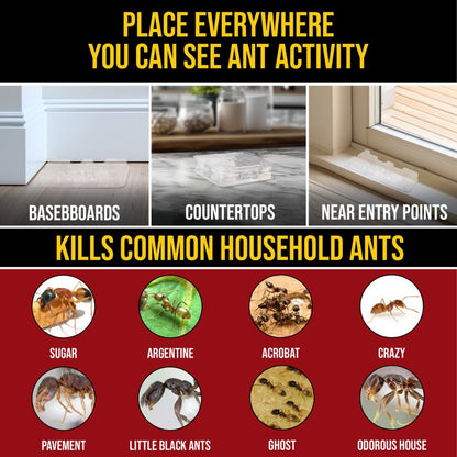 DEFIANT™ Premium Liquid Ant Control, 1-Year Supply + 8 Classic Bait Stations