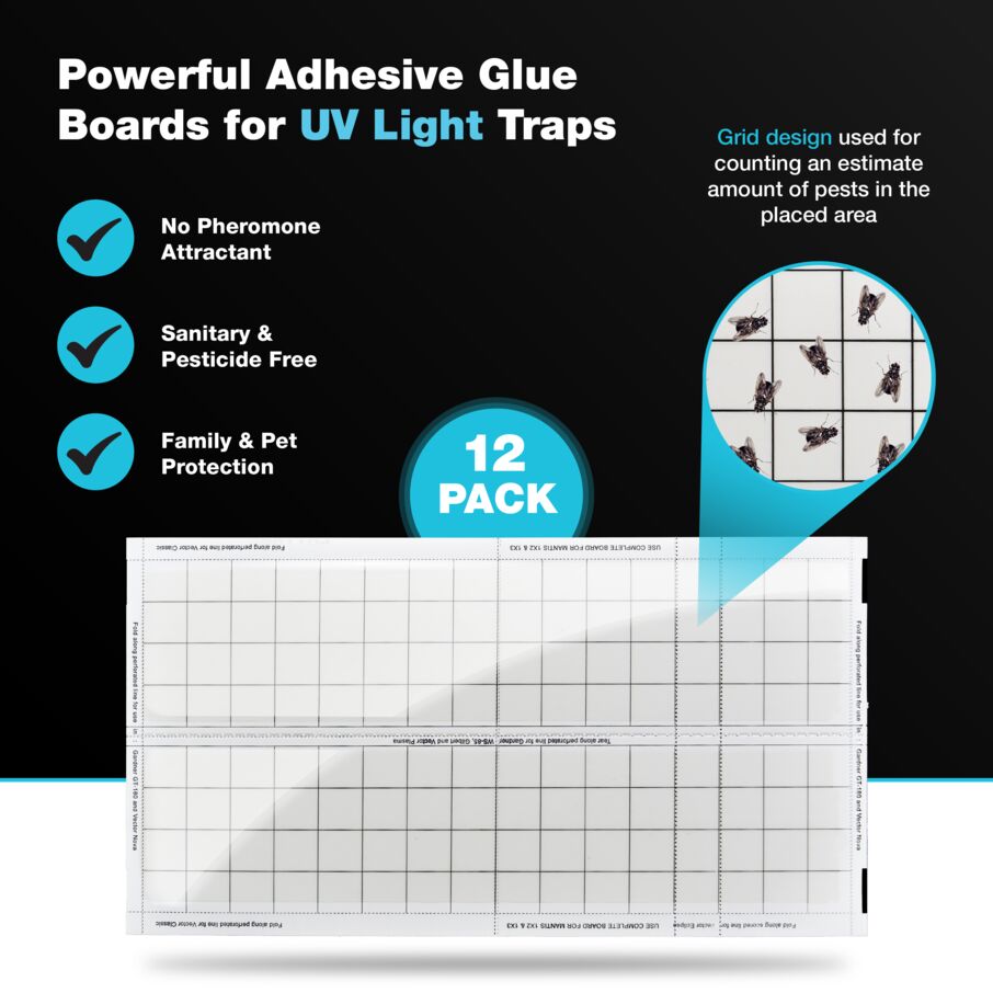 Vector UV Fly Light Universal Replacement Glue Boards Without Pheromones - White