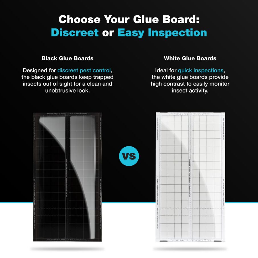 Vector UV Fly Light Universal Replacement Glue Boards Without Pheromones - White