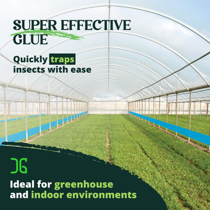 CatchmasterGRO XL AG Rolls – 2 Double-Sided Adhesive Fly Tape Strips - Blue