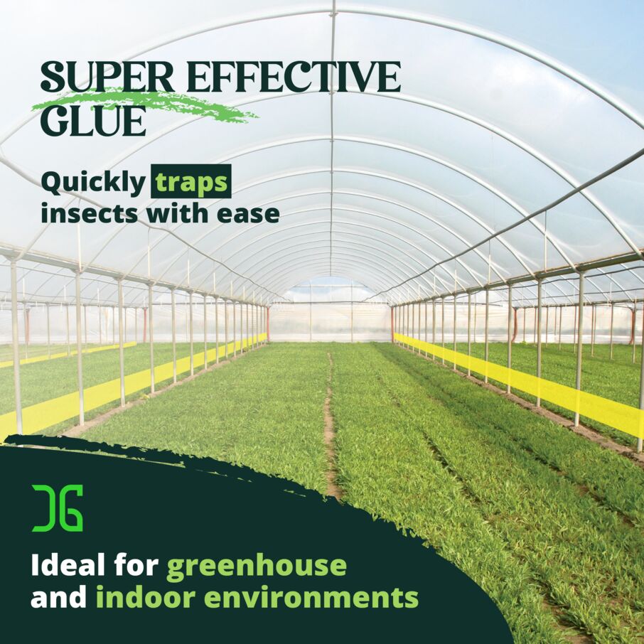 CatchmasterGRO XL AG Rolls – 2 Double-Sided Adhesive Fly Tape Strips - Yellow