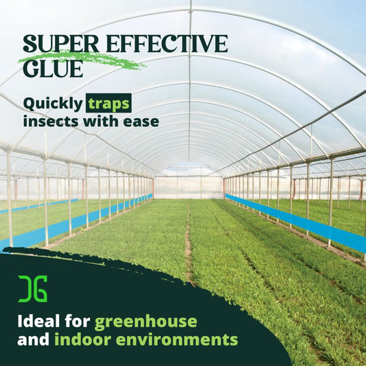 CatchmasterGRO XL AG Roll 4 Pack, Double-Sided Adhesive - Blue