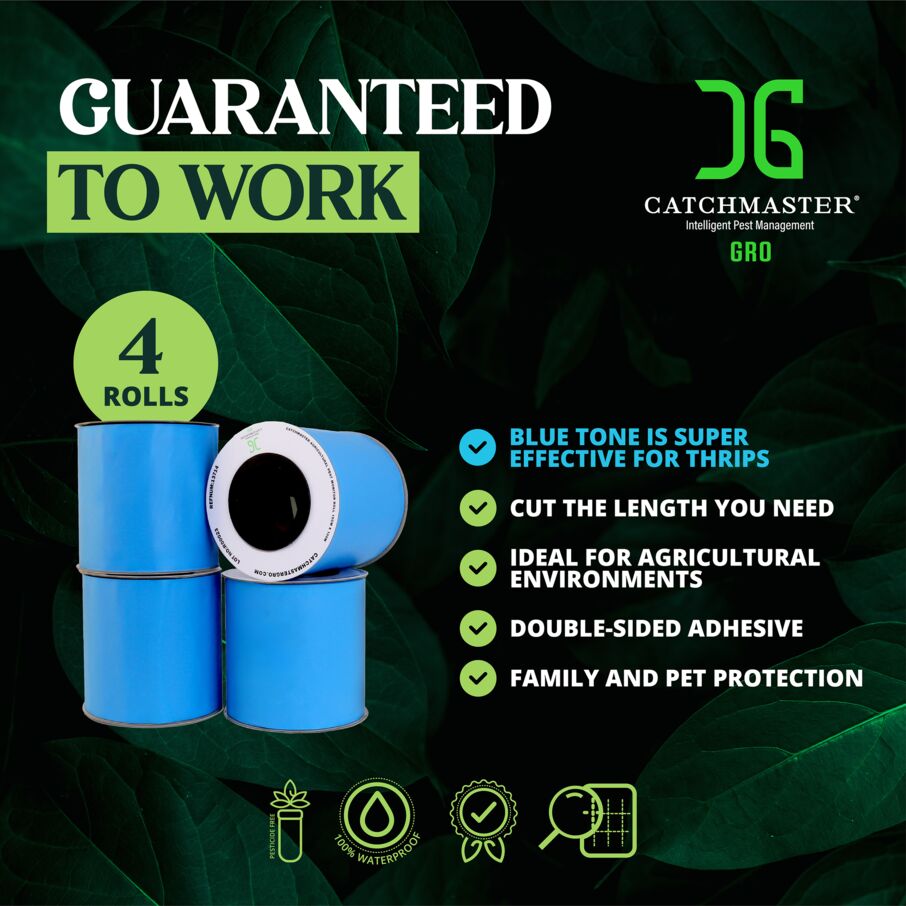 CatchmasterGRO XL AG Roll 4 Pack, Double-Sided Adhesive - Blue