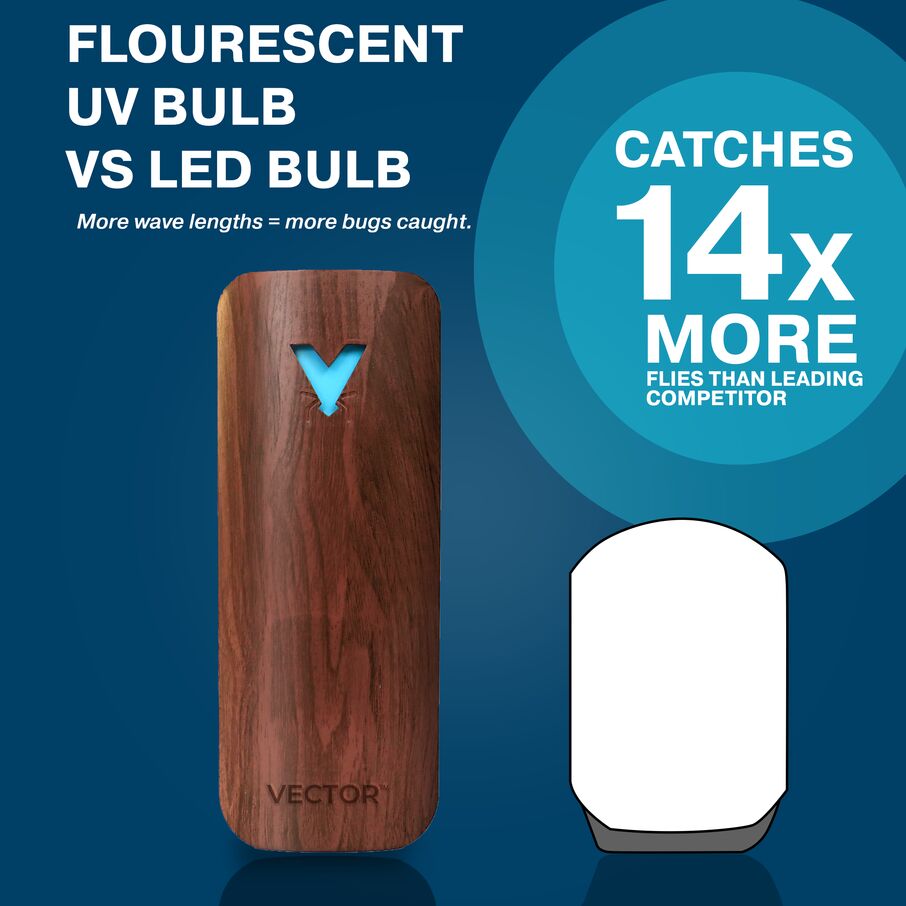 Vector Plug In Fly Trap for Fruit Flies & Gnats – Wood Grain