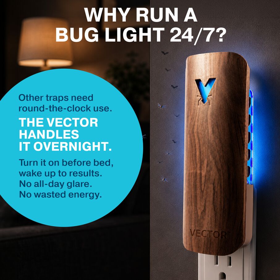 Vector Plug In Fly Trap for Fruit Flies & Gnats – Wood Grain