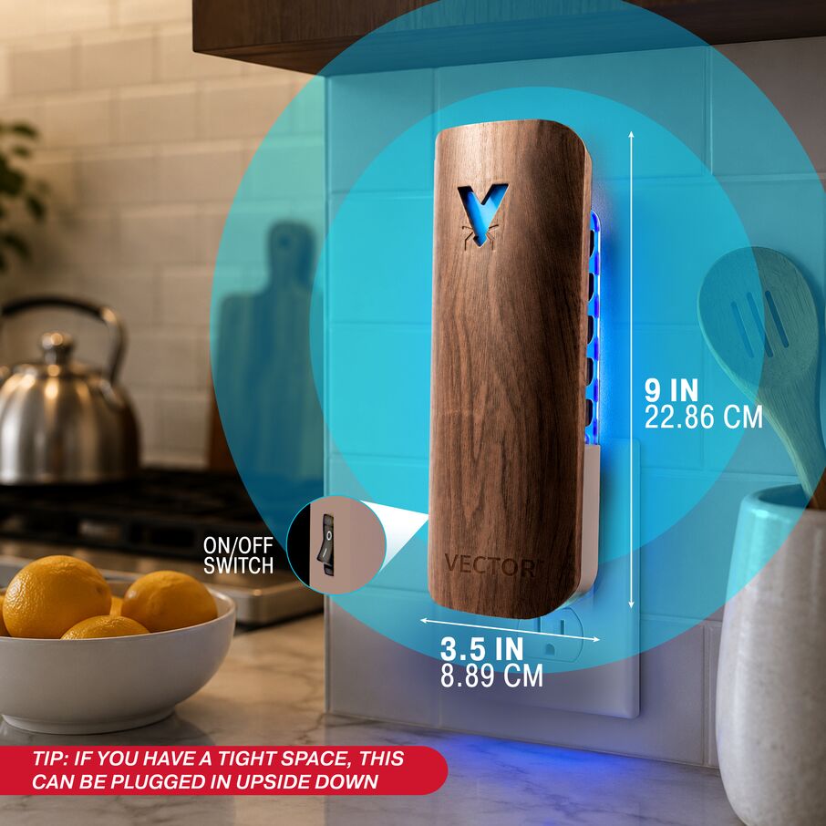 Vector Plug In Fly Trap for Fruit Flies & Gnats – Wood Grain