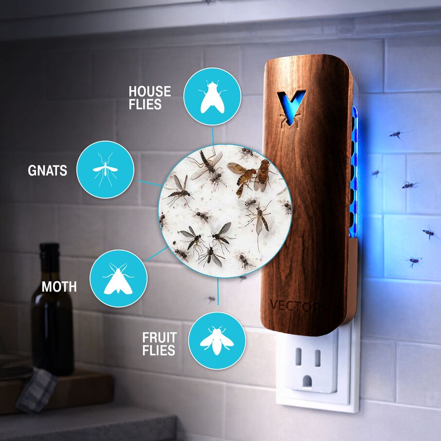 Vector Plug In Fly Trap for Fruit Flies & Gnats – Wood Grain