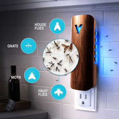 Vector Plug In Fly Trap for Fruit Flies & Gnats – Wood Grain
