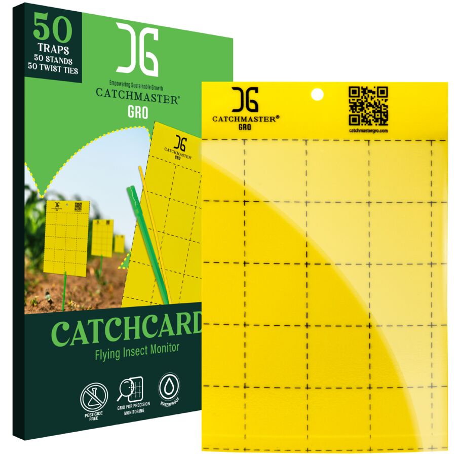 Large Double Sided Sticky Traps - Yellow