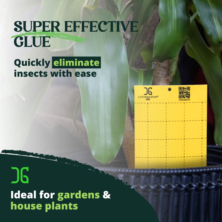 yellow sticky traps for house plants Catchmaster Yellow Sticky Trap for Garden and Plant Pest Control, 50 Count