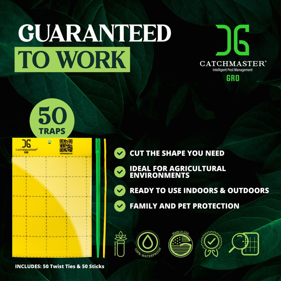 Large Double Sided Sticky Traps - Yellow