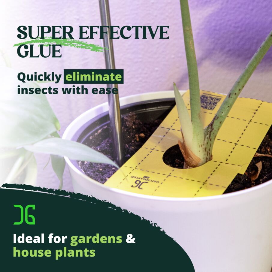 indoor plant sticky traps Catchmaster Sticky Insect Traps with Center Hole, 50 Count